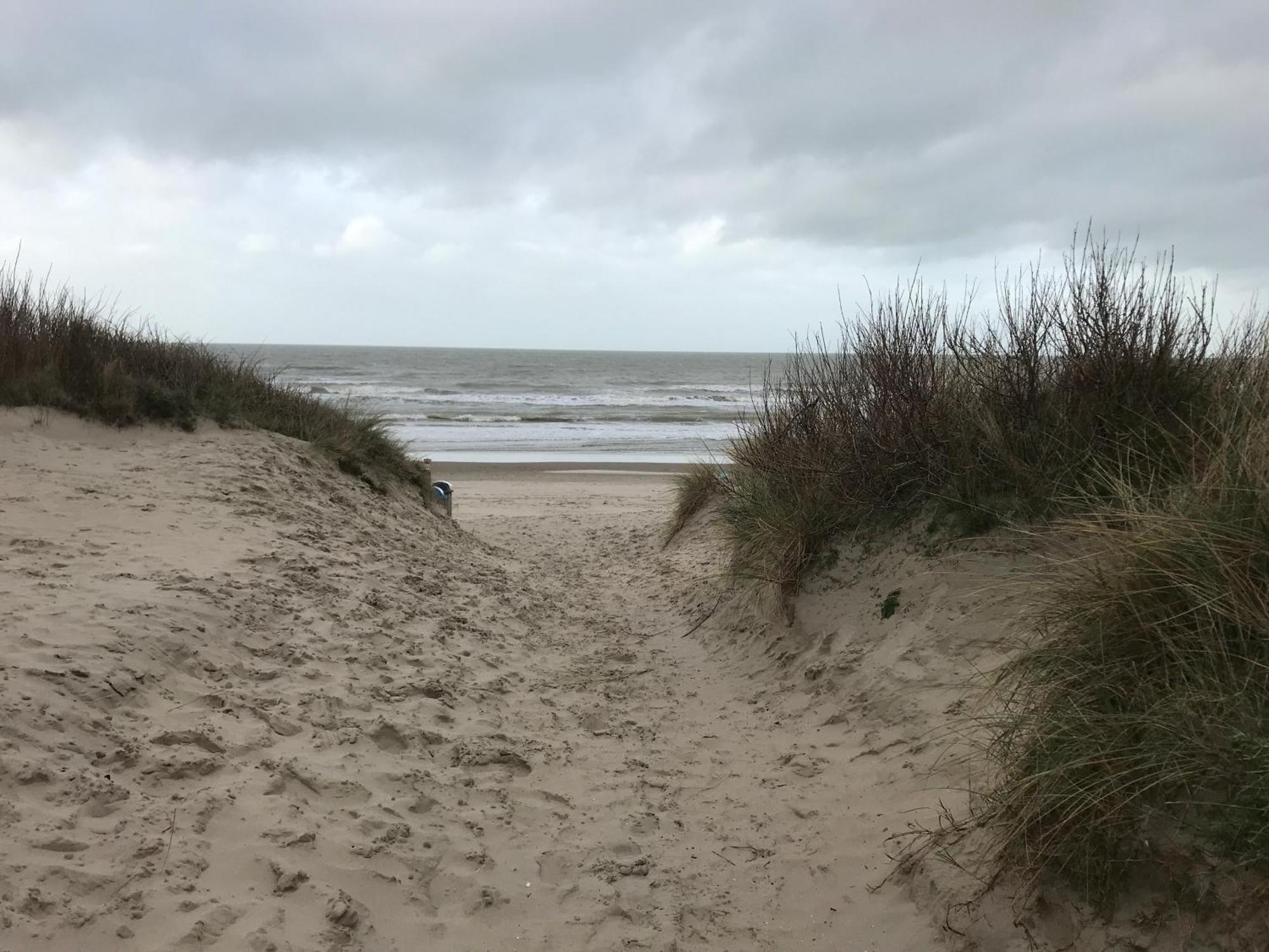 Duplex Penthouse Super Zeezicht Lejlighed De Panne Eksteriør billede